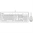 MacAlly Peripherals iKey Slim Combo Keyboard and Mouse IKEY5COMBO